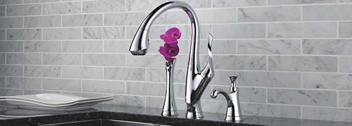Belo_63052LF-PC_1-2-image_700x252.jpg