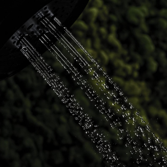  Shampoo.png 