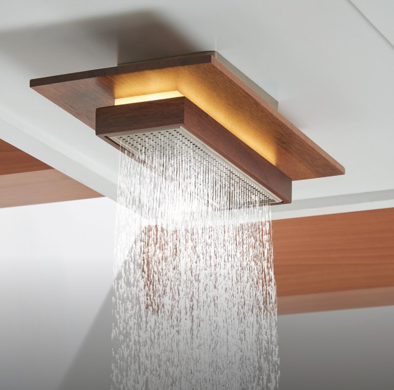 Handshowers shower Brizo