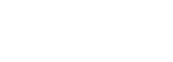 Icons indicating that the Elemental Experience features two user presets and steam.