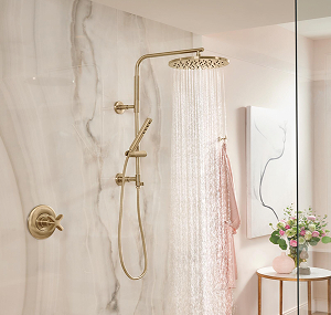 Showers | Brizo