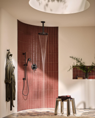 matte black shower